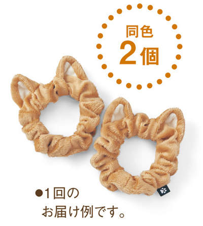 圖片5 圖片5