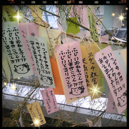 圖片13 圖片13