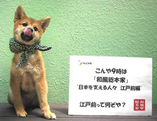圖片23 圖片23