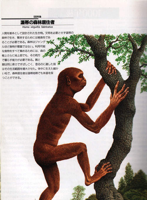 圖片12 圖片12