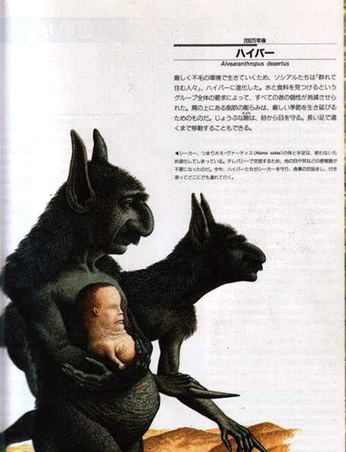 圖片19 圖片19