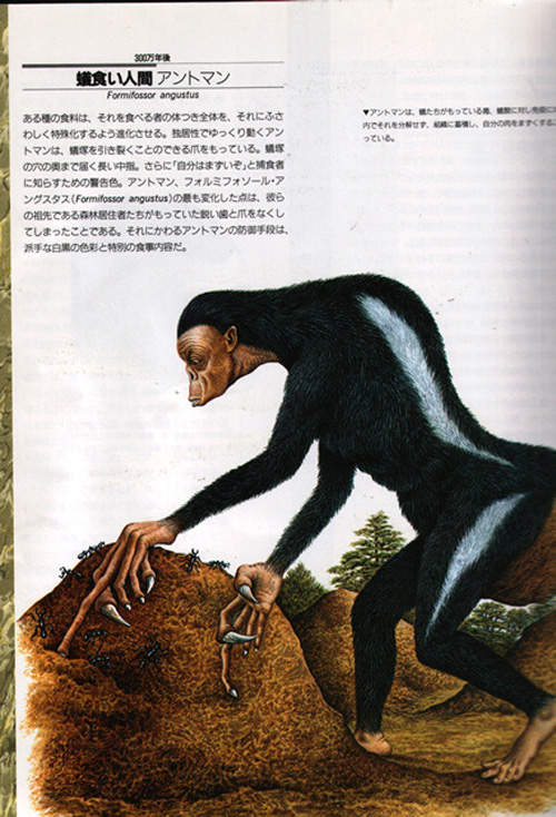 圖片21 圖片21