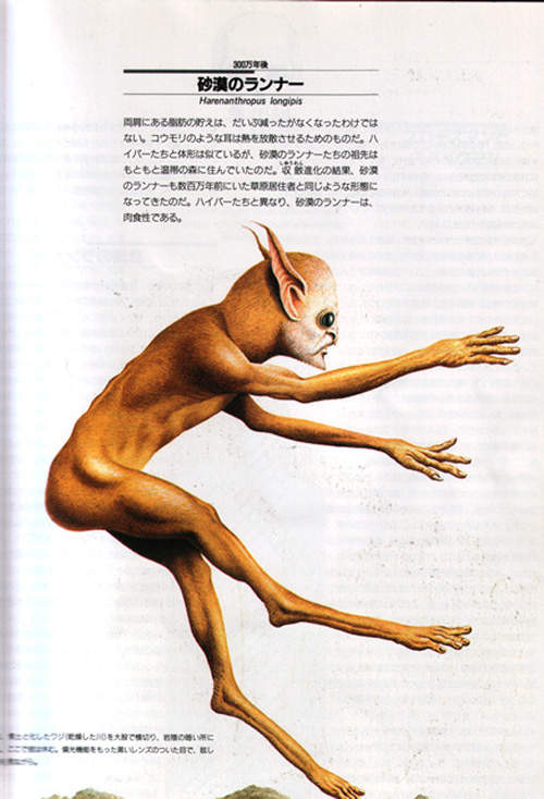 圖片22 圖片22