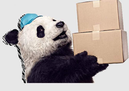 圖片6 圖片6