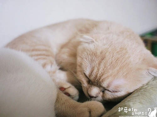 圖片9 圖片9