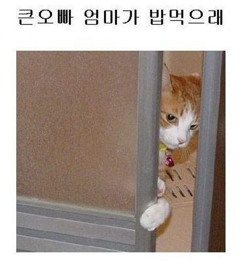 圖片10 圖片10