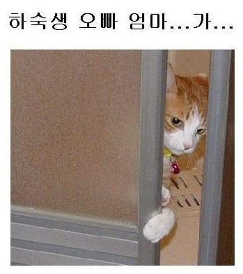 圖片12 圖片12