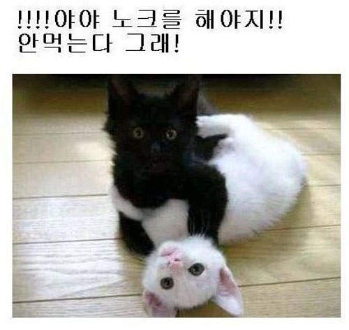 圖片13 圖片13
