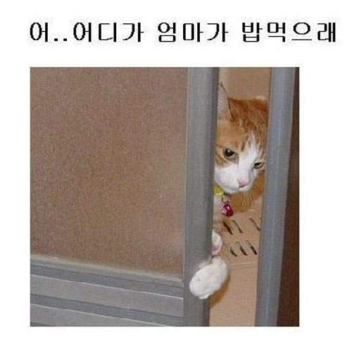 圖片14 圖片14