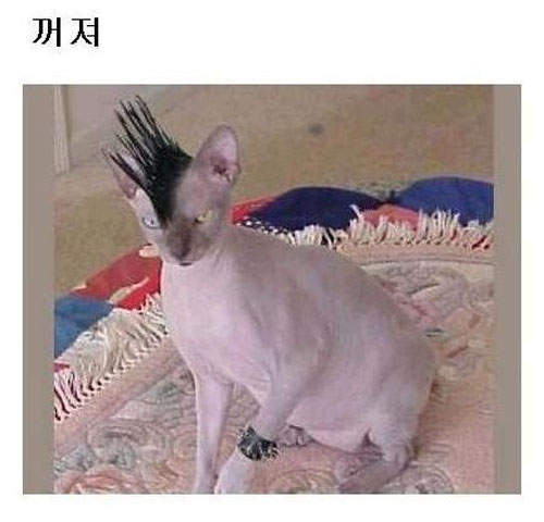 圖片15 圖片15