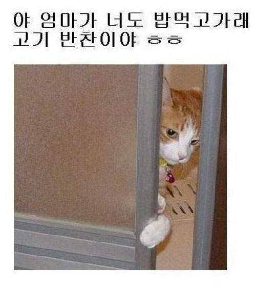 圖片16 圖片16