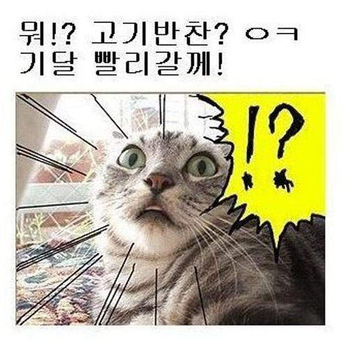 圖片17 圖片17