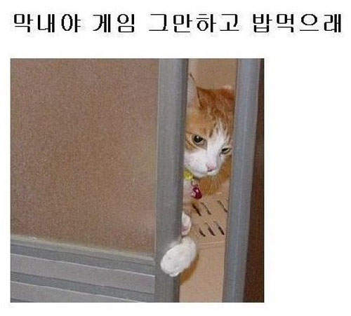 圖片18 圖片18