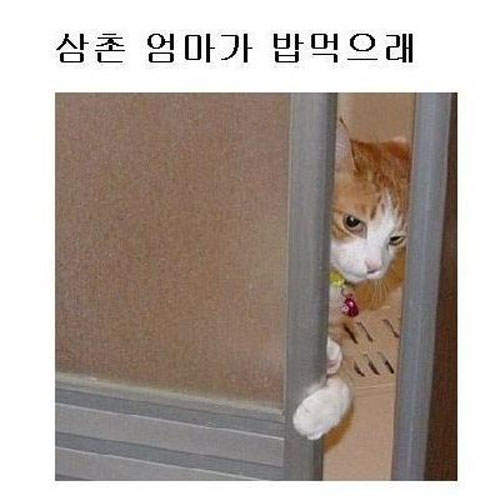 圖片4 圖片4
