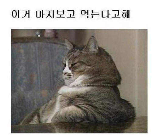 圖片5 圖片5