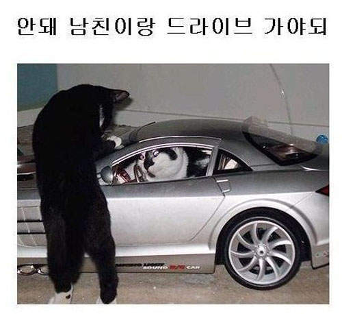 圖片7 圖片7
