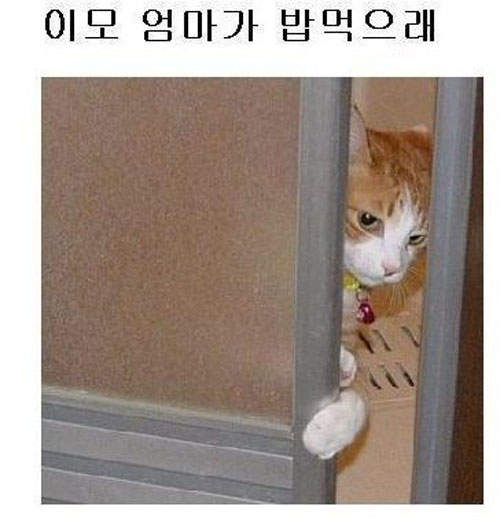 圖片8 圖片8