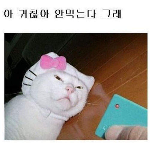 圖片9 圖片9