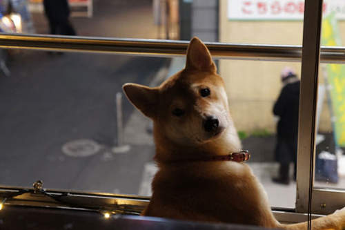 圖片19 圖片19