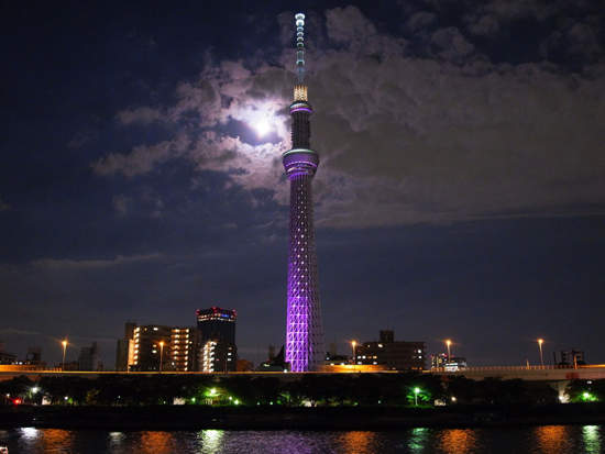 圖片6 圖片6