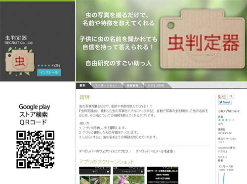 圖片10 圖片10