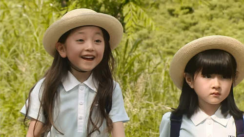 圖片25 圖片25
