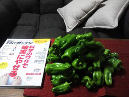 圖片14 圖片14
