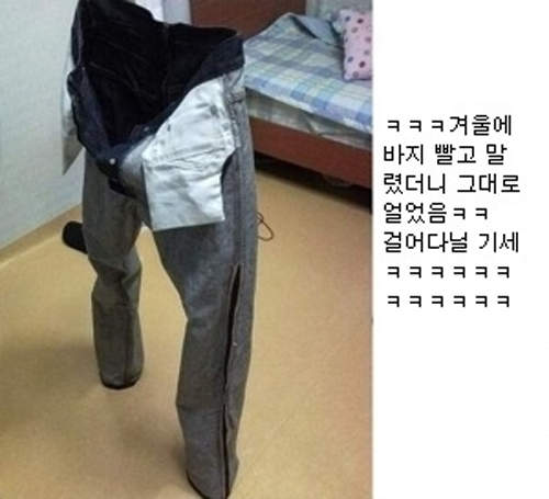 圖片16 圖片16