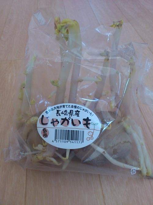 圖片8 圖片8