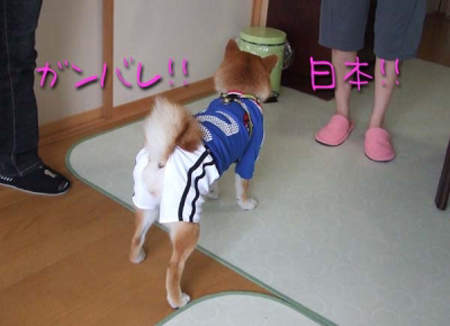 圖片16 圖片16