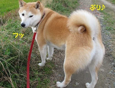 圖片5 圖片5