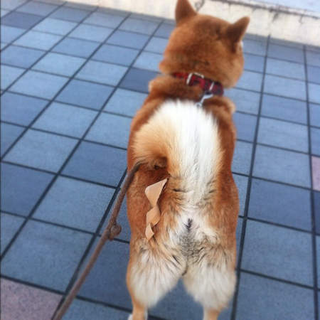 圖片8 圖片8