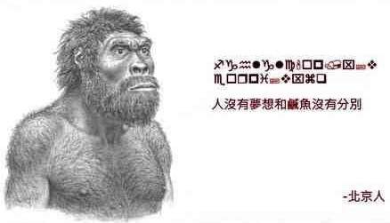 圖片11 圖片11