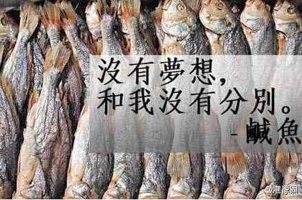 圖片23 圖片23