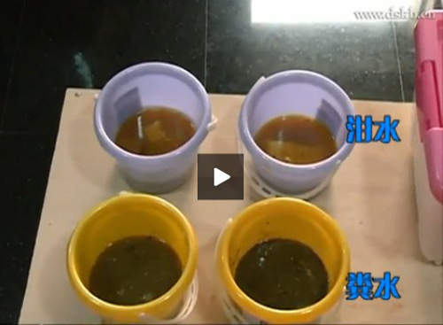 圖片10 圖片10
