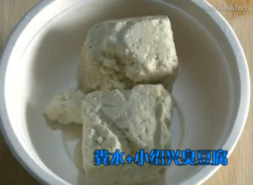 圖片11 圖片11