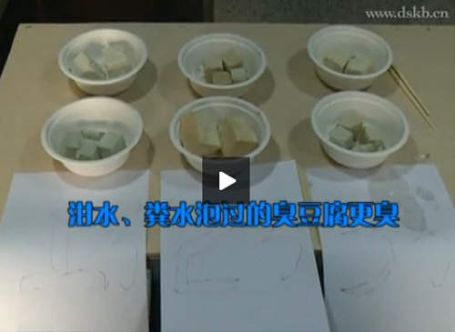 圖片23 圖片23