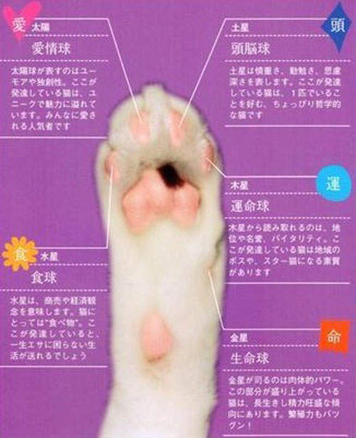 圖片4 圖片4
