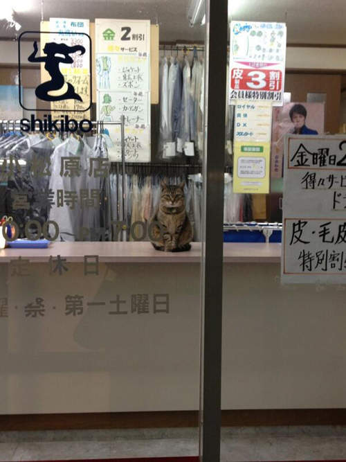 圖片10 圖片10