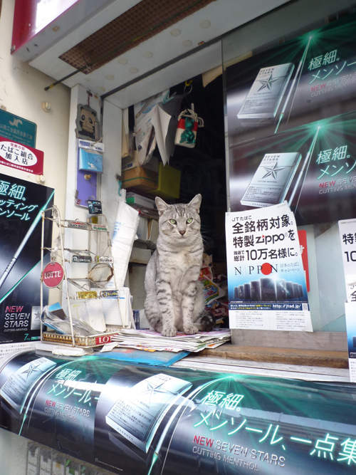 圖片15 圖片15