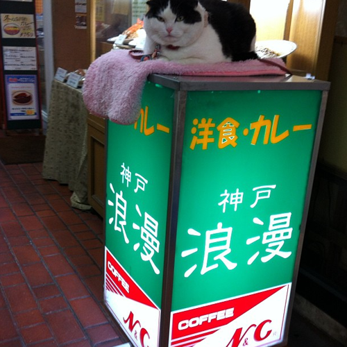 圖片7 圖片7