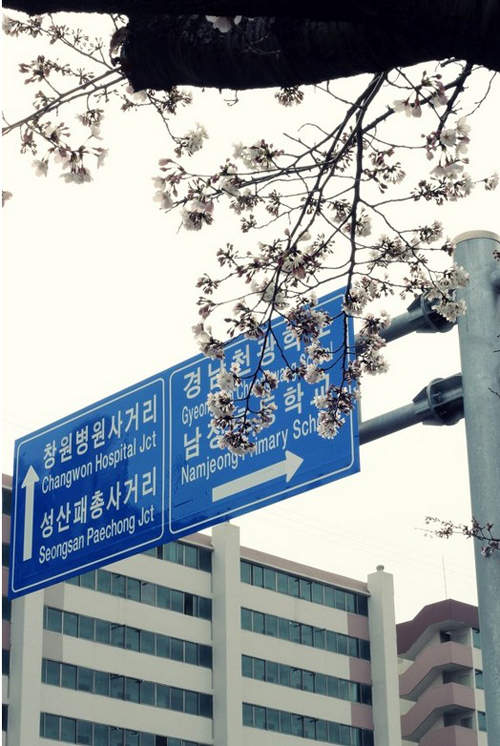圖片12 圖片12