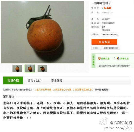 圖片17 圖片17