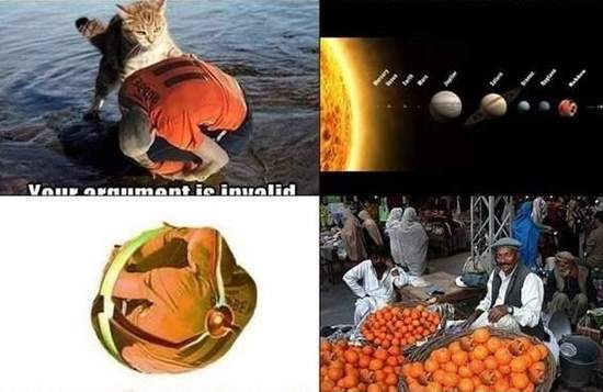 圖片4 圖片4