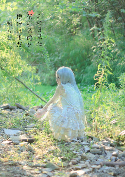 圖片4 圖片4