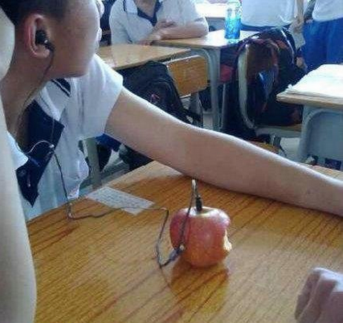 圖片11 圖片11