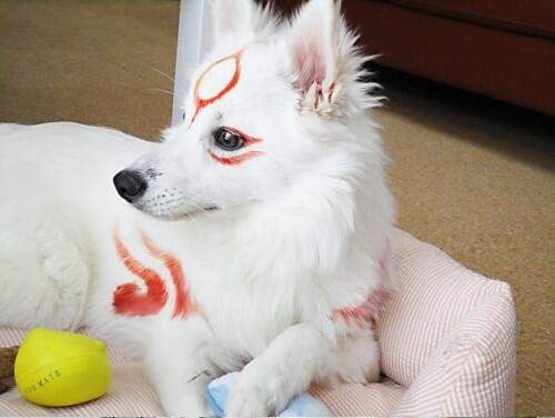 圖片4 圖片4