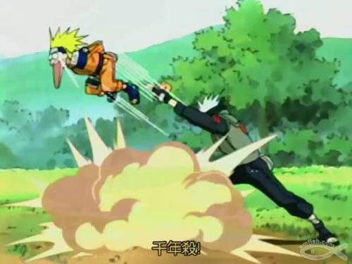 圖片15 圖片15