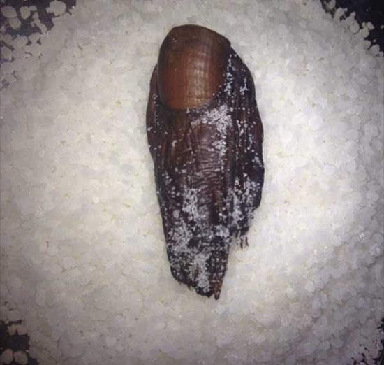 圖片6 圖片6