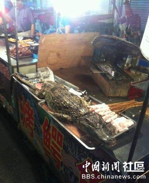 圖片14 圖片14